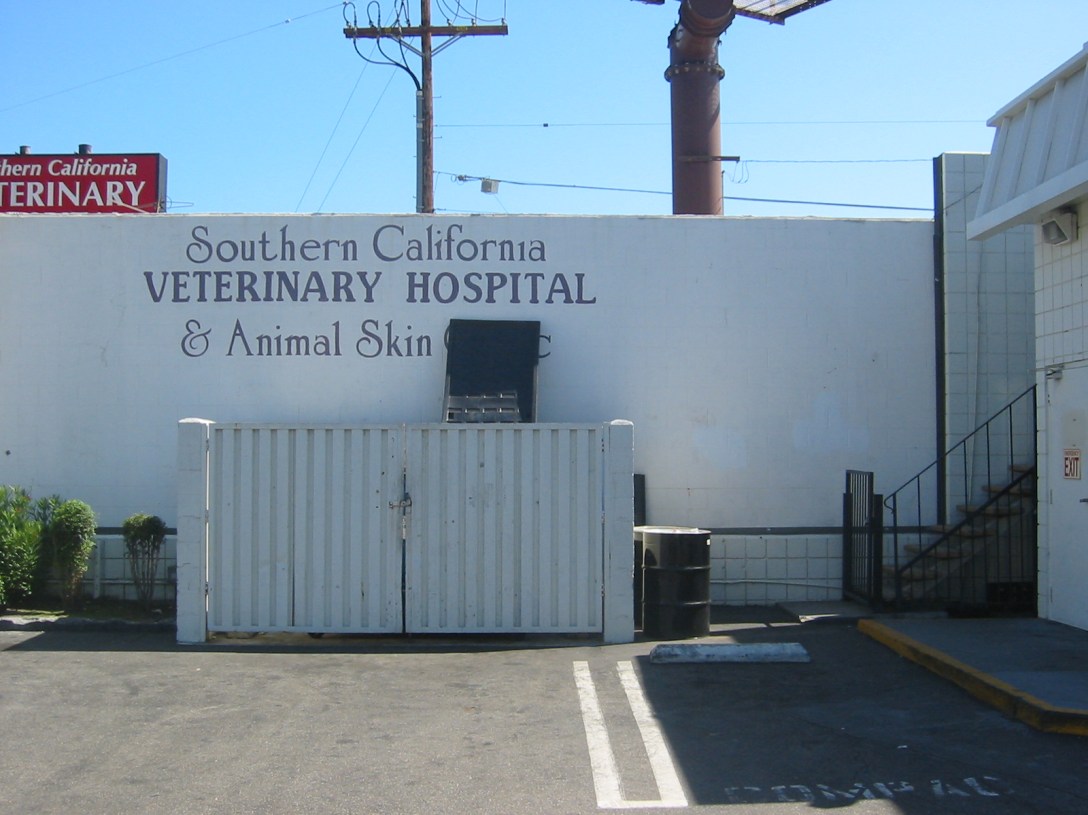 Animal Skin Clinic