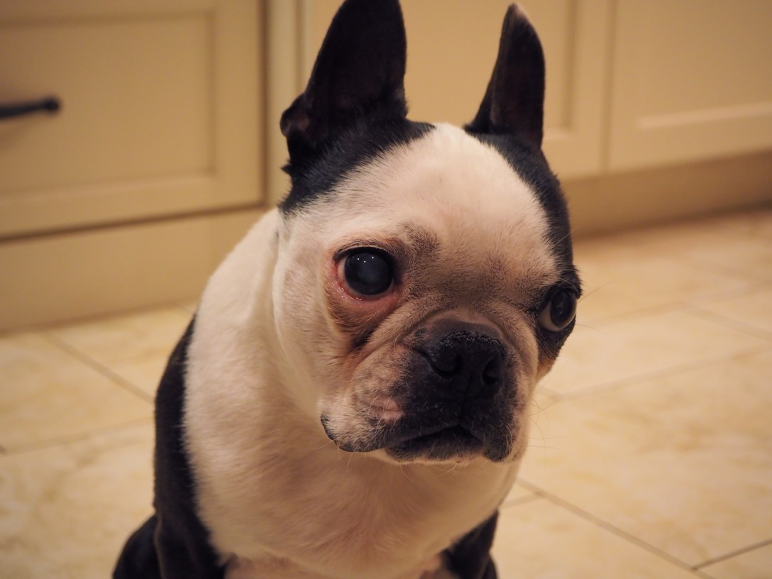 Doc studies the situation