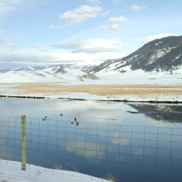National Elk Sanctuary
