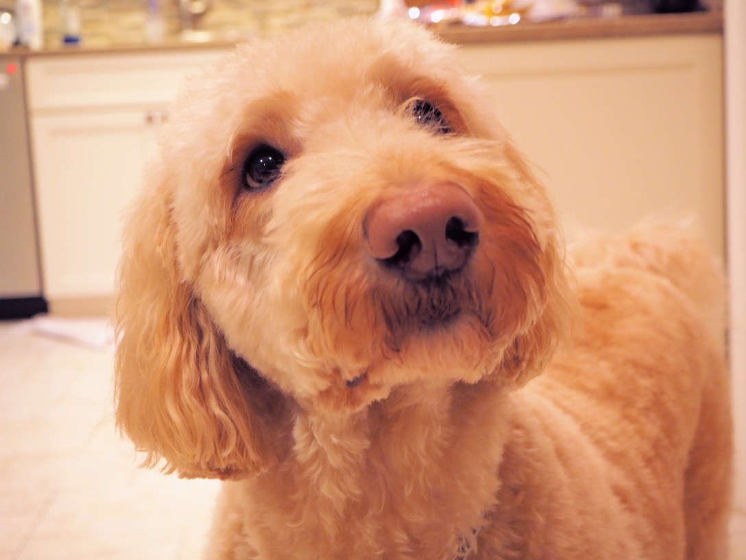 Hobbs wants something