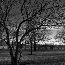 63rd Street Beach Park