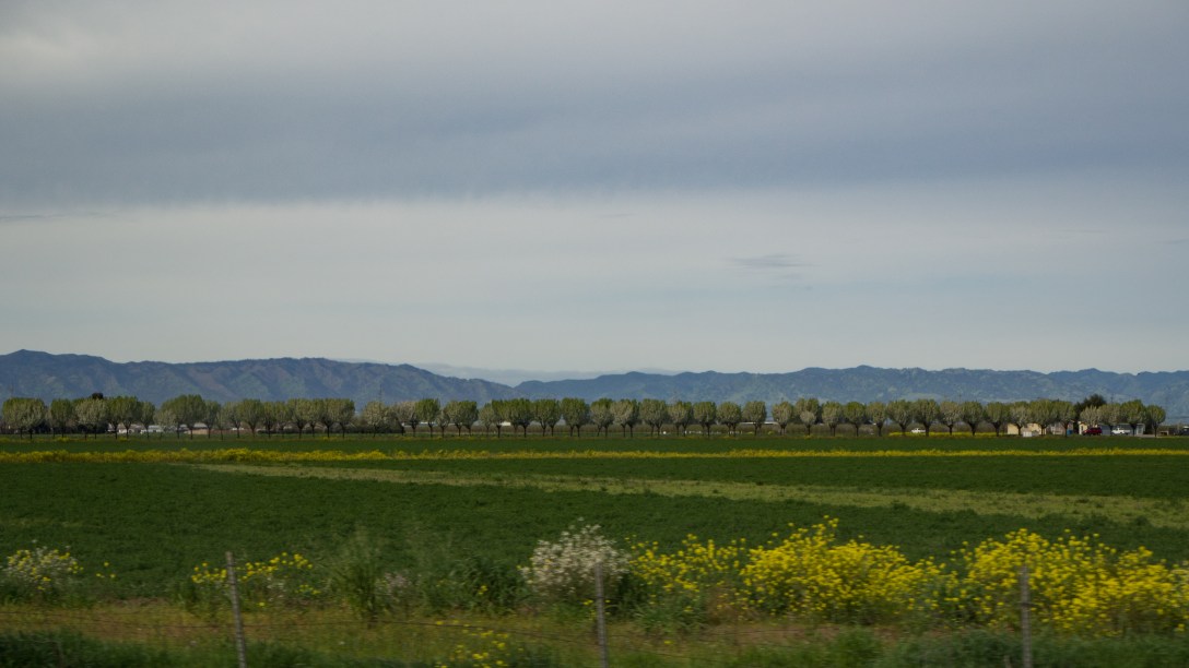 Sacramento #3