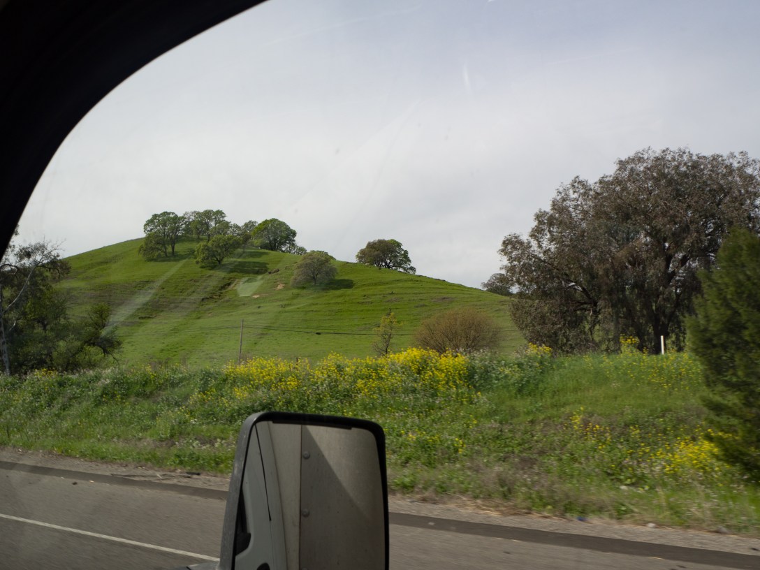 Green Hills #12