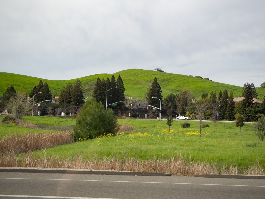 Green Hills #9