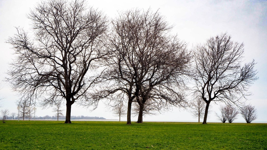 North of Diversy Harbor No. 1