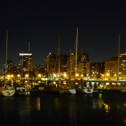Belmont Harbor at Night