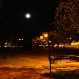 Grant Park at Night