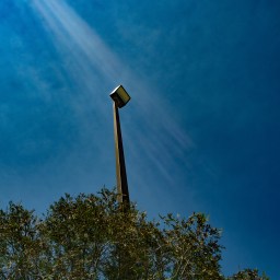 His Noodly Appendage