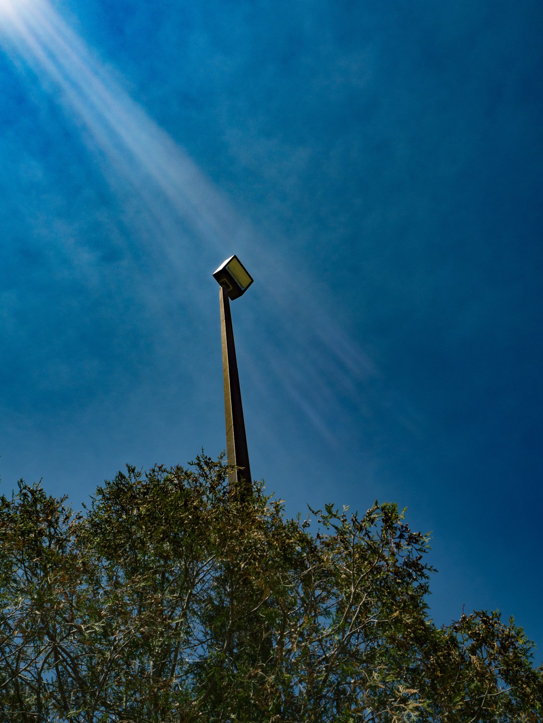 Highland Park May 19, 2016-2.jpg