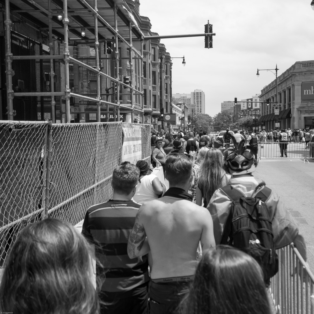 GayPrideParade-264598