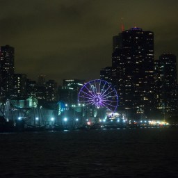 Chicago in Color: Night and Day