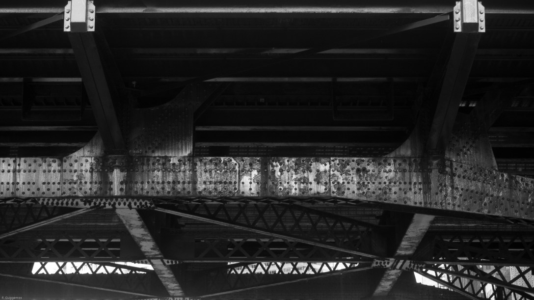 Water Taxi BW-304955