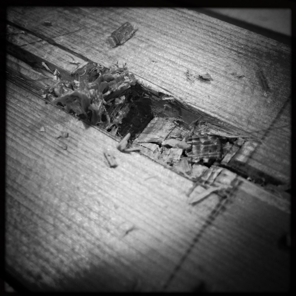 30530260752_e0c8416e6f_o