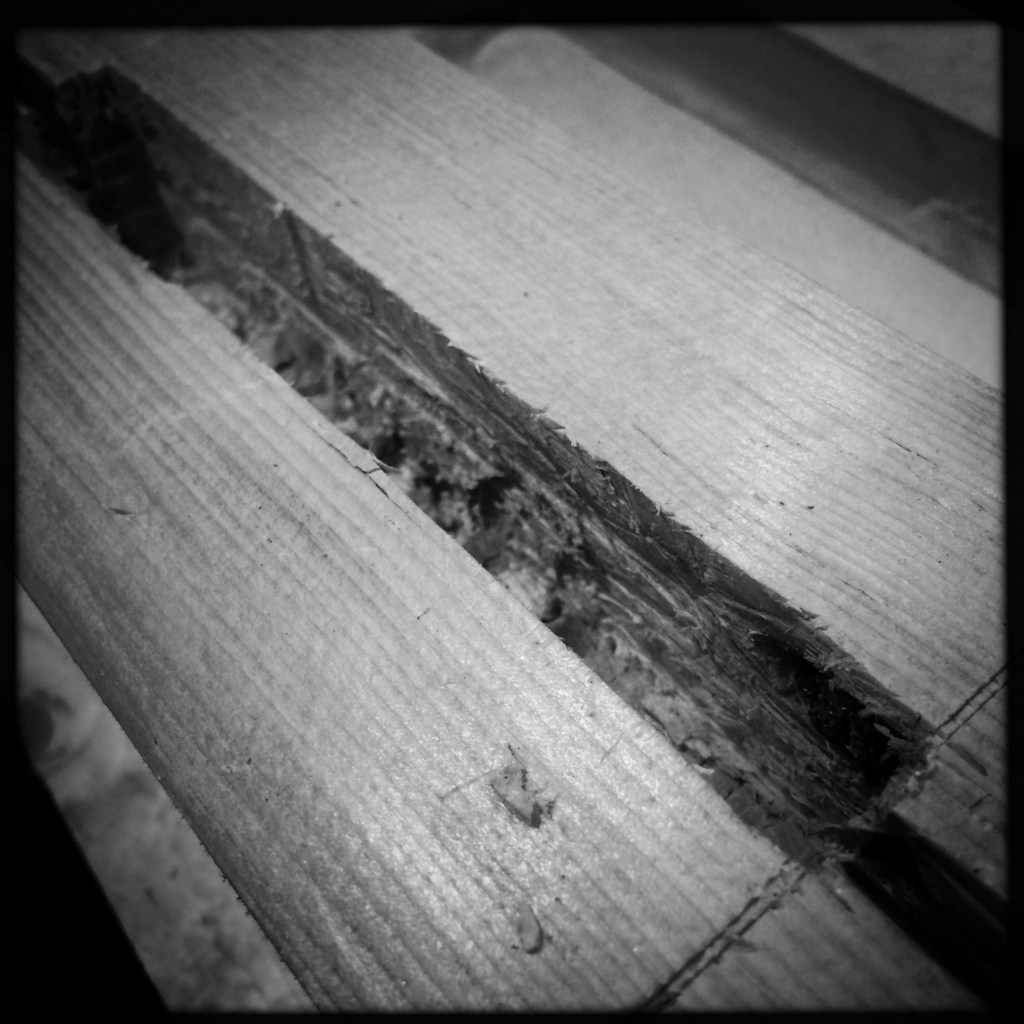 30647269355_7c4685dd80_o