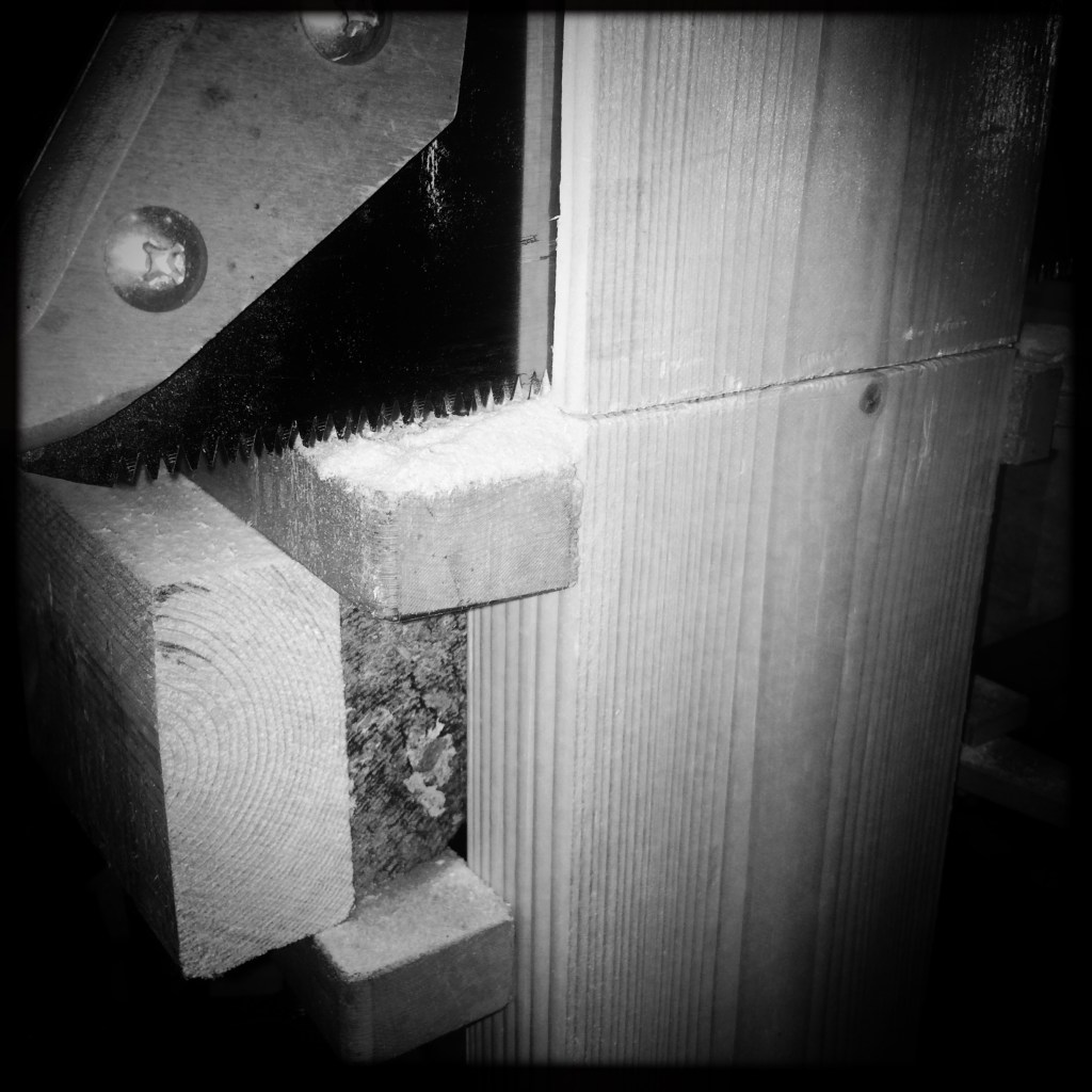 30661548256_e78646ce8a_o