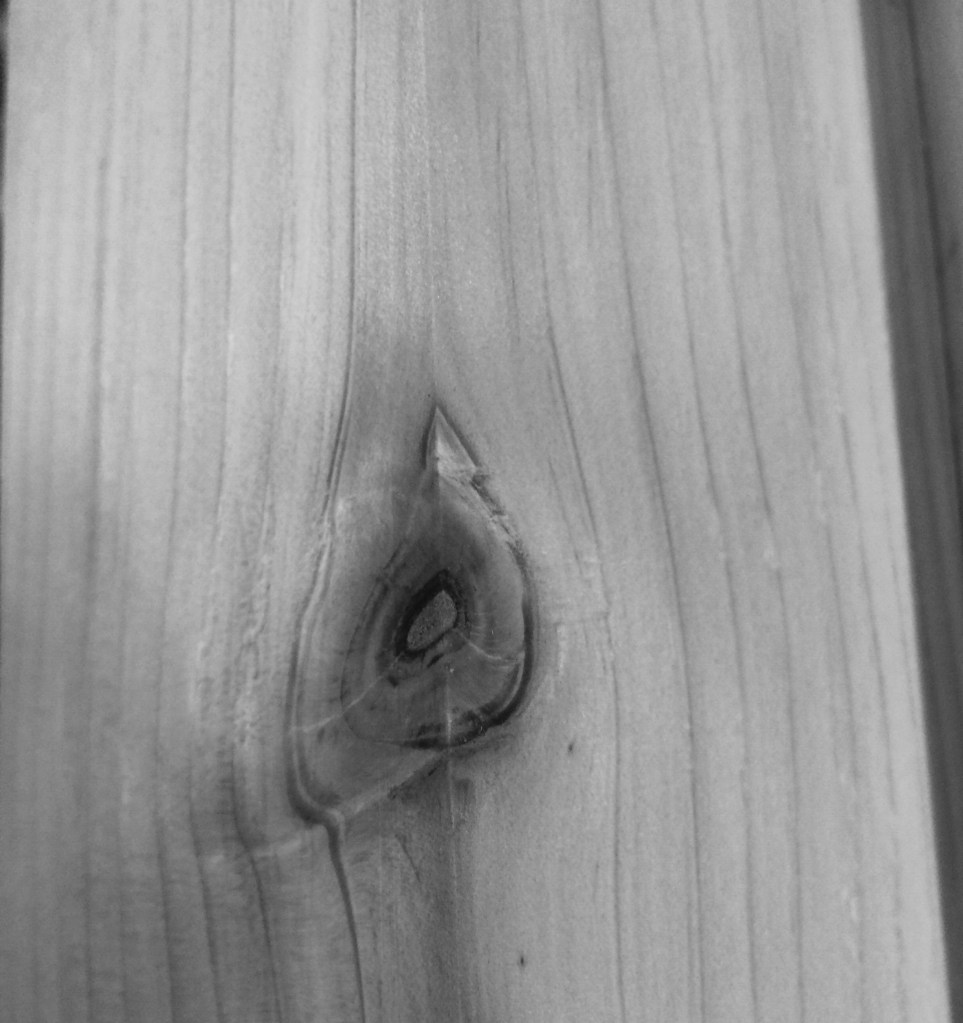 31140991775_48295a540d_o