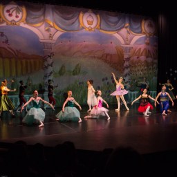 Nutcracker ’17