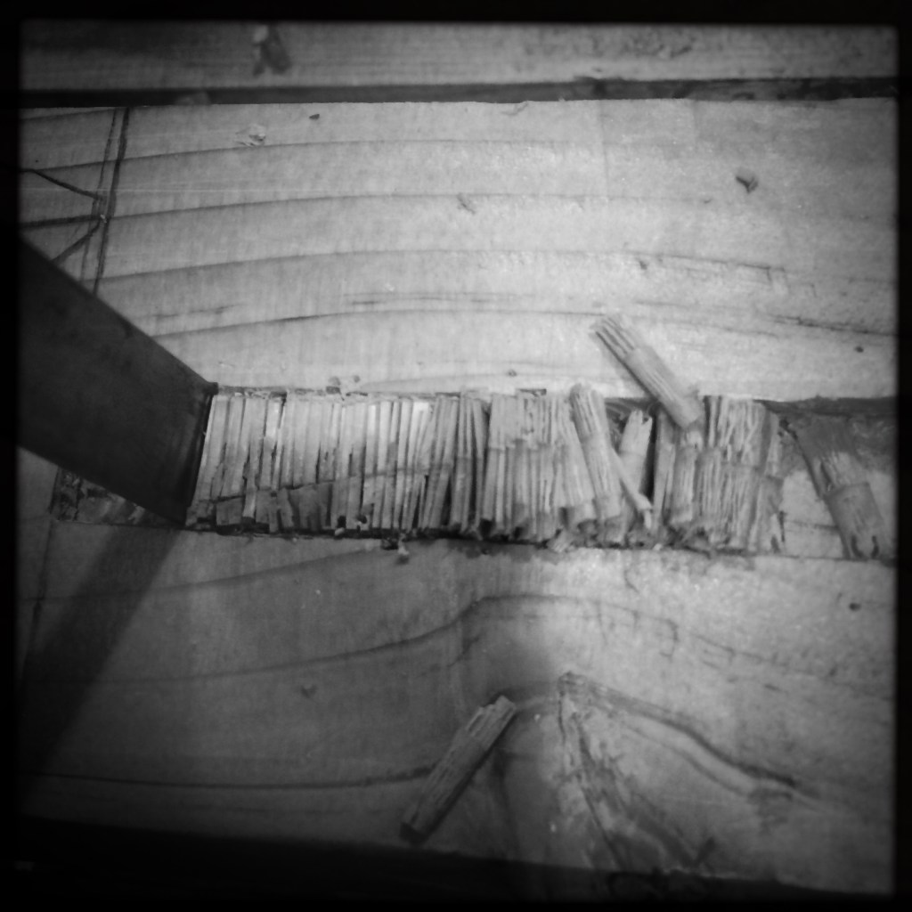 hipstamaticphoto-502564760-477868