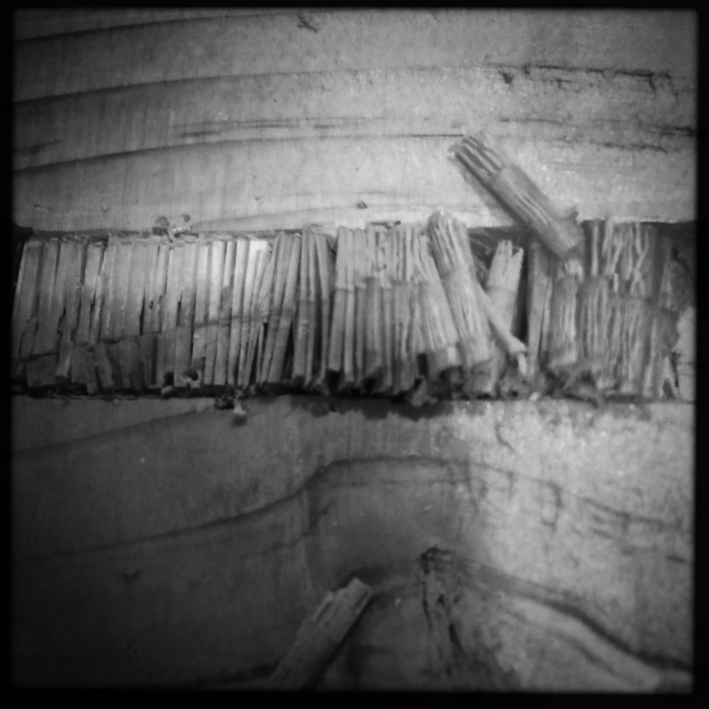 hipstamaticphoto-502564768-195153