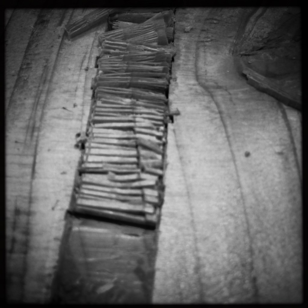 hipstamaticphoto-502564832-664944