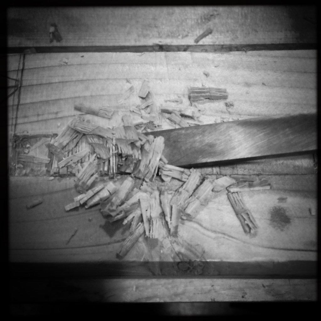 hipstamaticphoto-502564919-139482