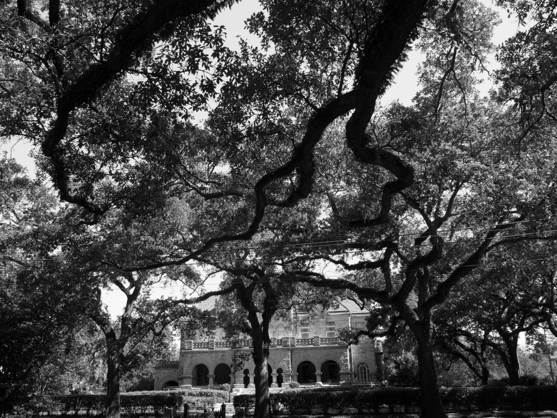 NOLA June 2017-089253