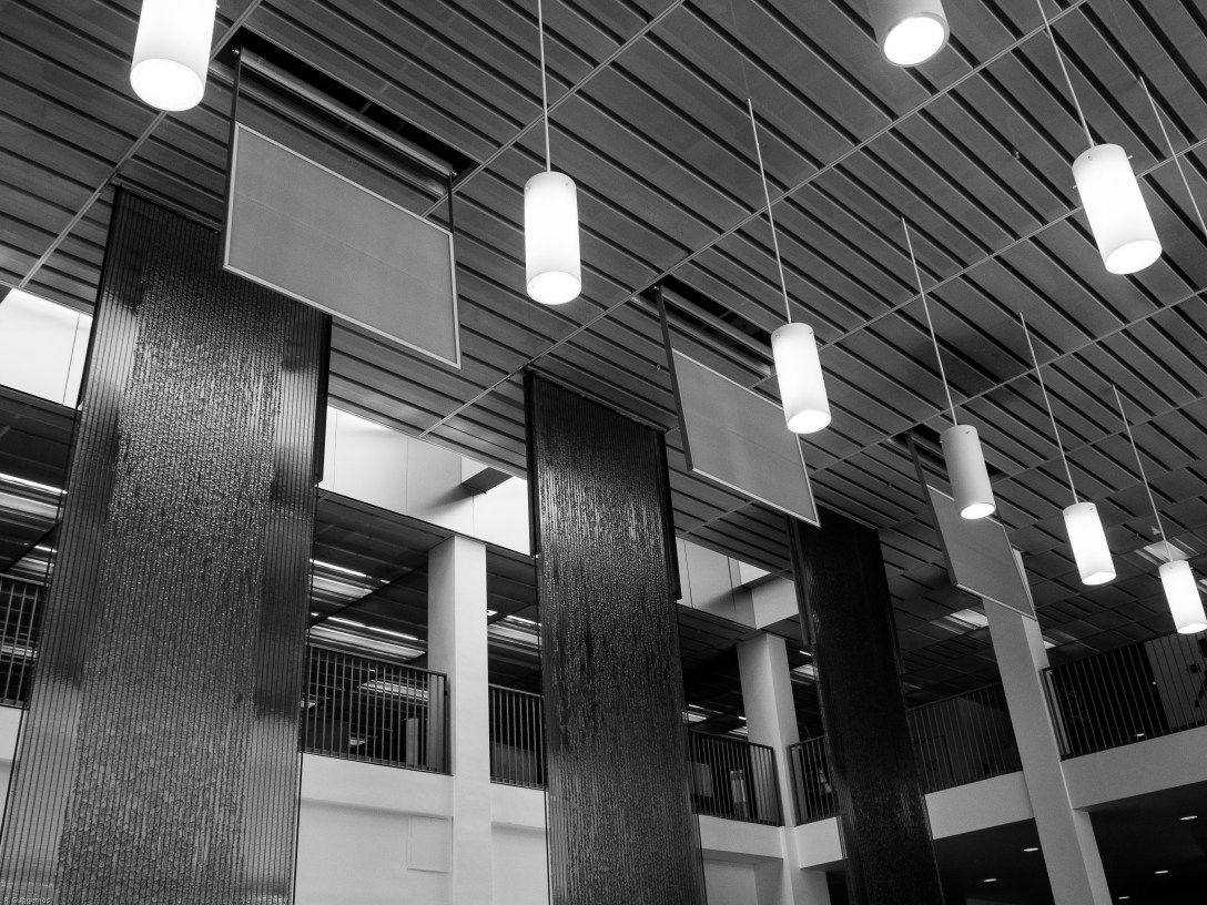 NOLA June 2017-089260