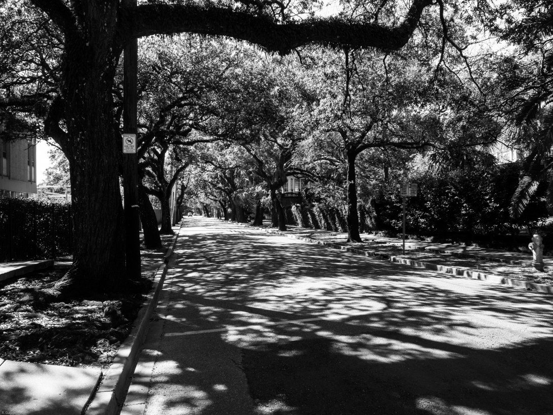 NOLA June 2017-089272