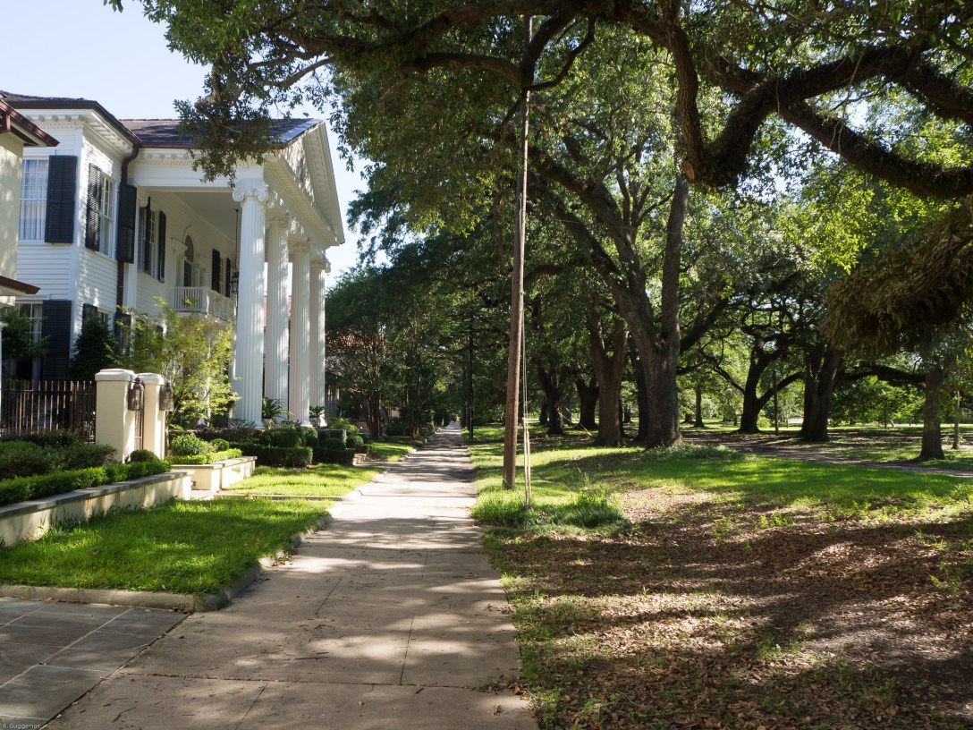 NOLA June 2017-089274.JPG