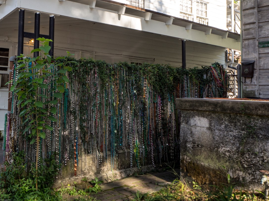 NOLA June 2017-089307