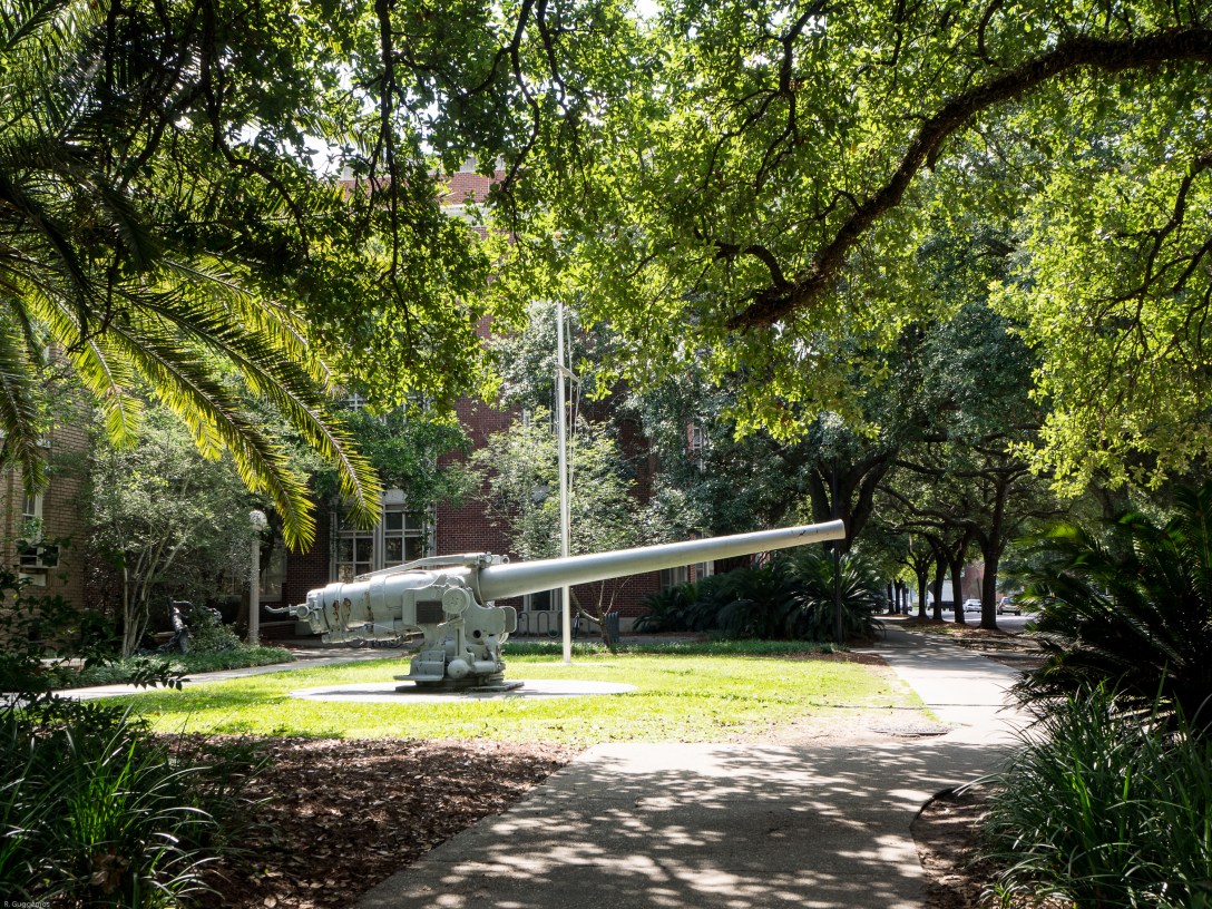 NOLA June 2017-099345
