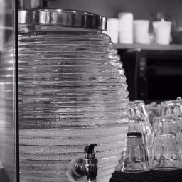 Back in bayou country